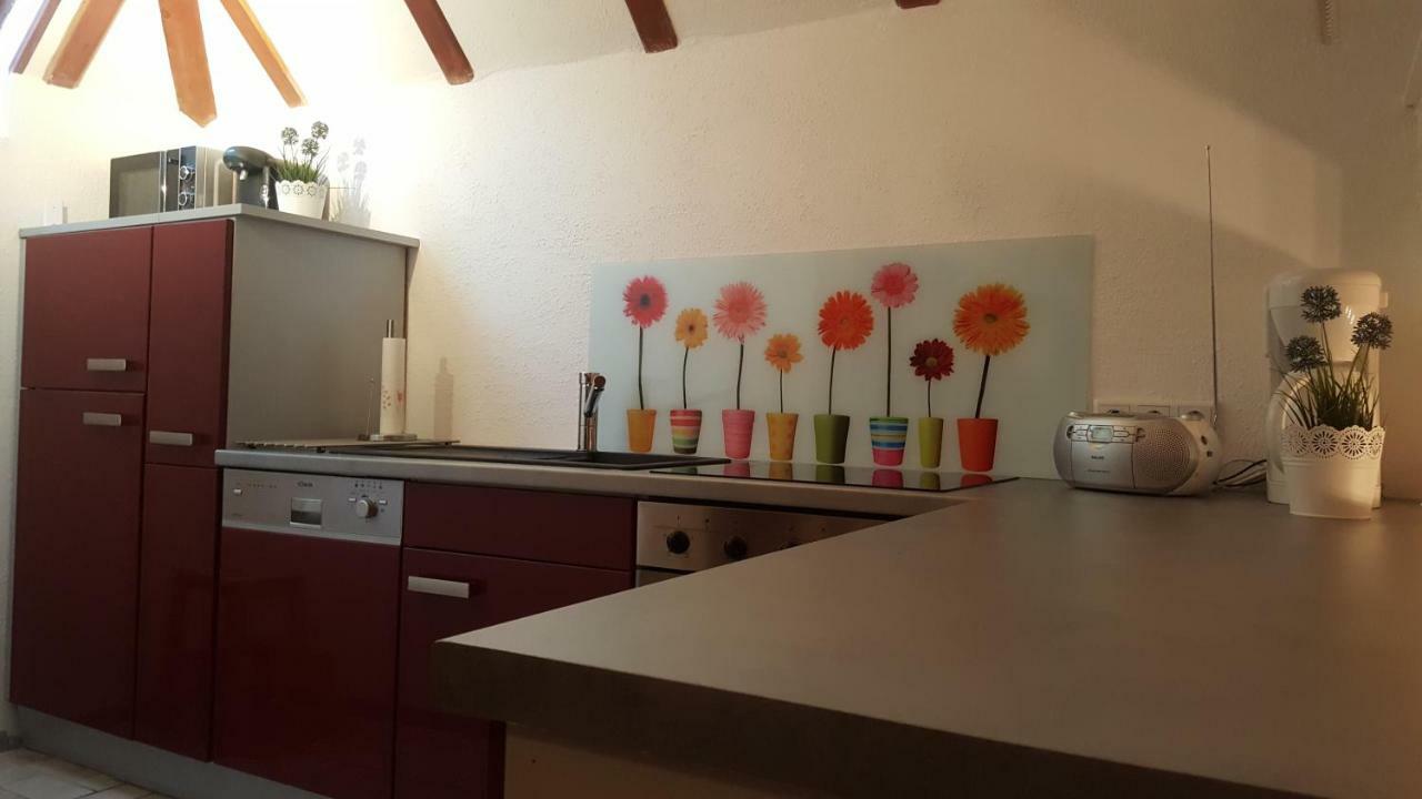 Ferienhaus Lilly Am Silbersee Frielendorf Extérieur photo